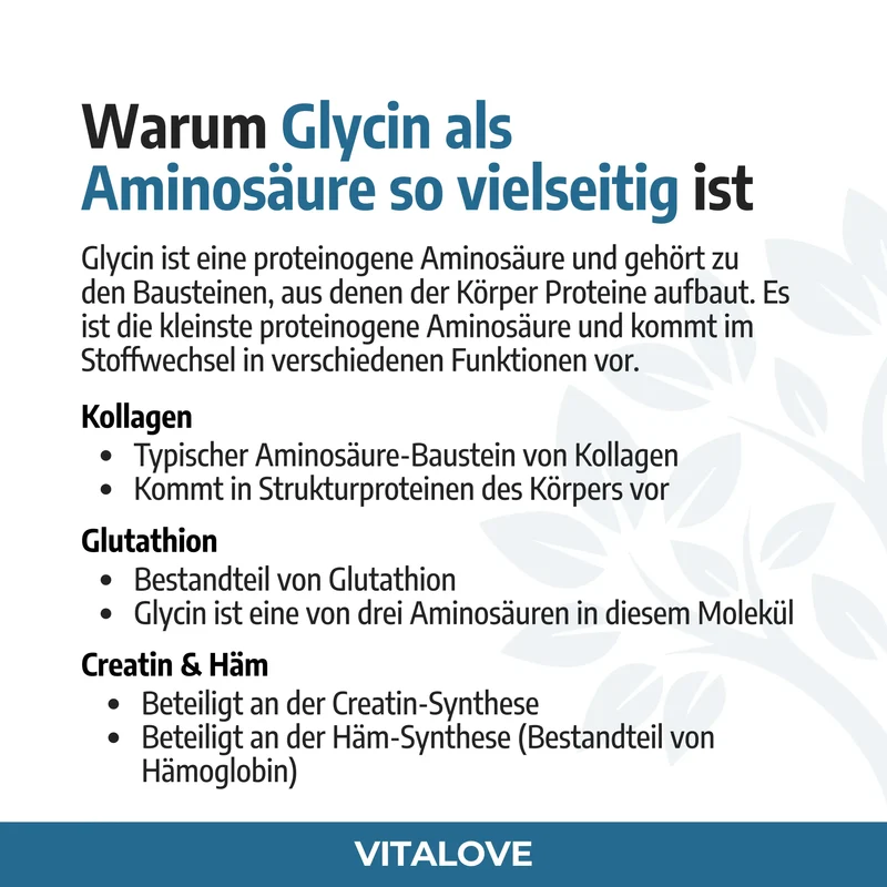 Glycin Kapseln – 180 Kapseln