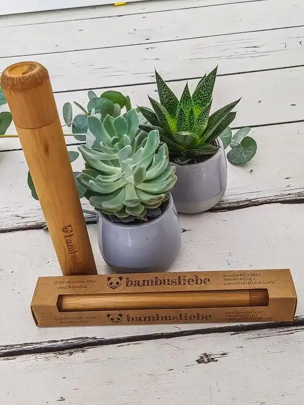 Bambus Zahnbürsten Etui