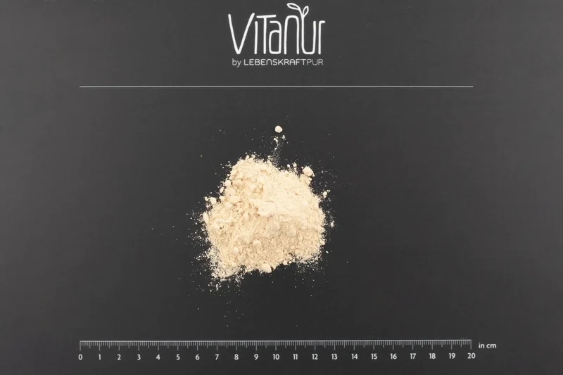Bio Protein Vegan Banane Pulver
