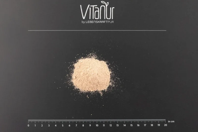 Bio Protein Vegan Erdbeere Pulver