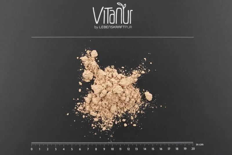 Bio Protein Vegan Dunkle Schokolade Pulver