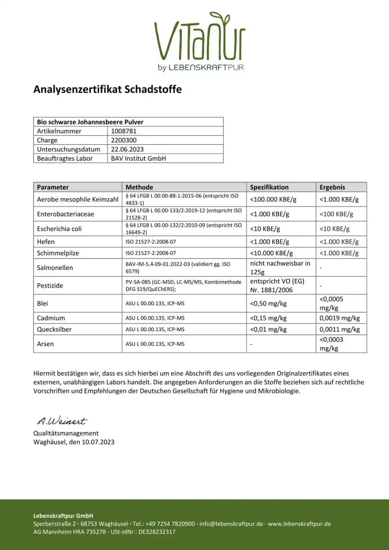 Bio Schwarze Johannisbeere Pulver