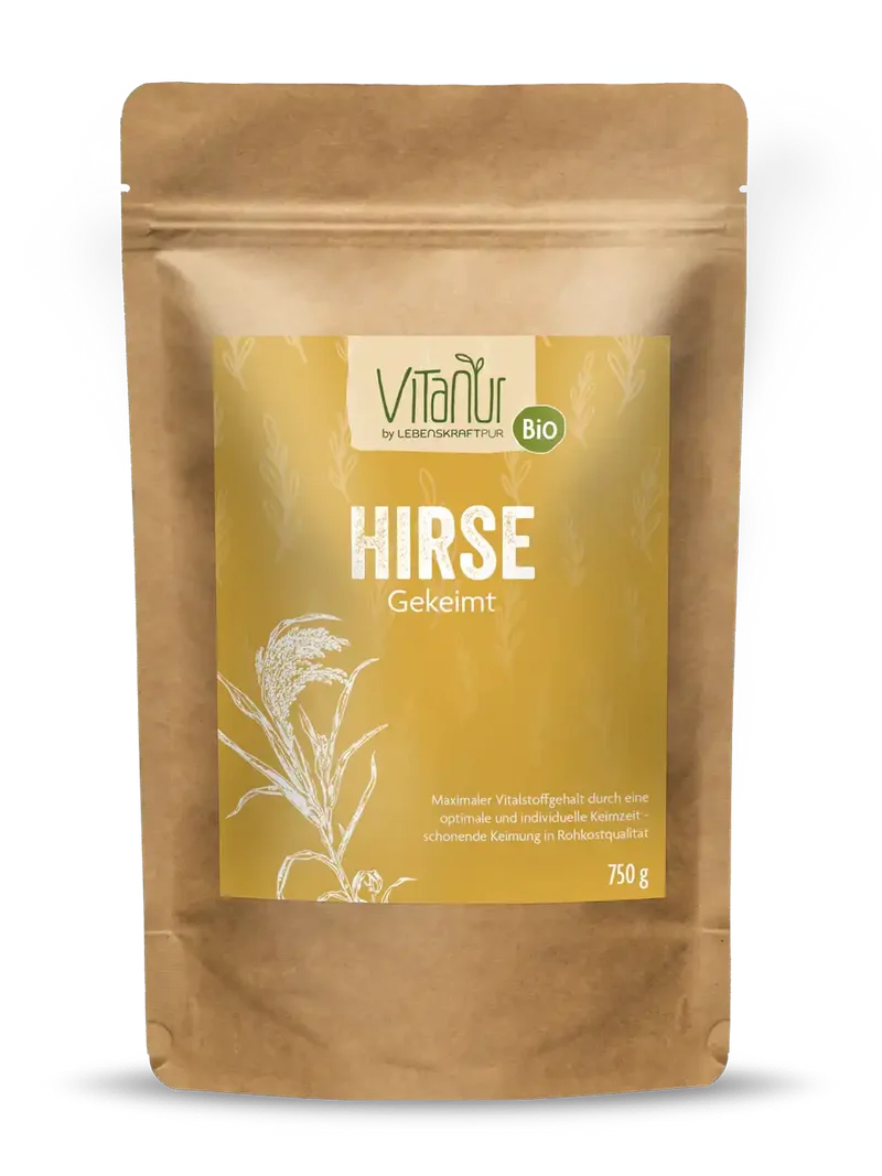 Bio Hirse Gekeimt