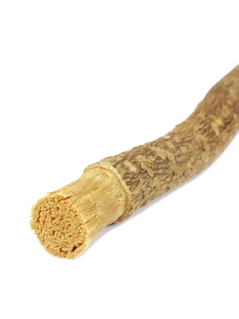 Miswak
