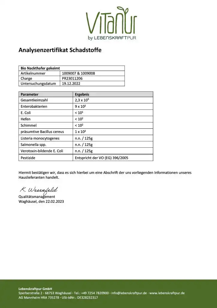 Bio Nackthafer Gekeimt