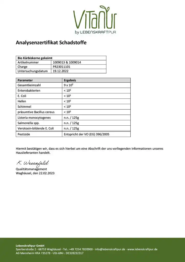 Bio Kürbiskerne Gekeimt