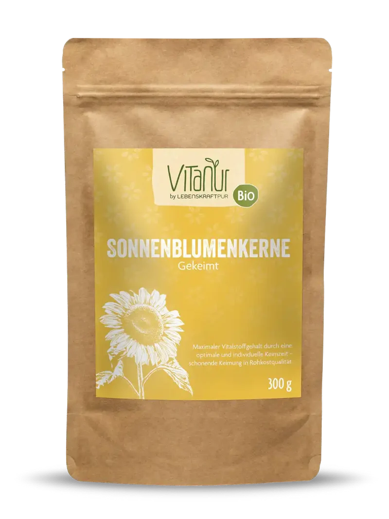 Bio Sonnenblumenkerne Gekeimt