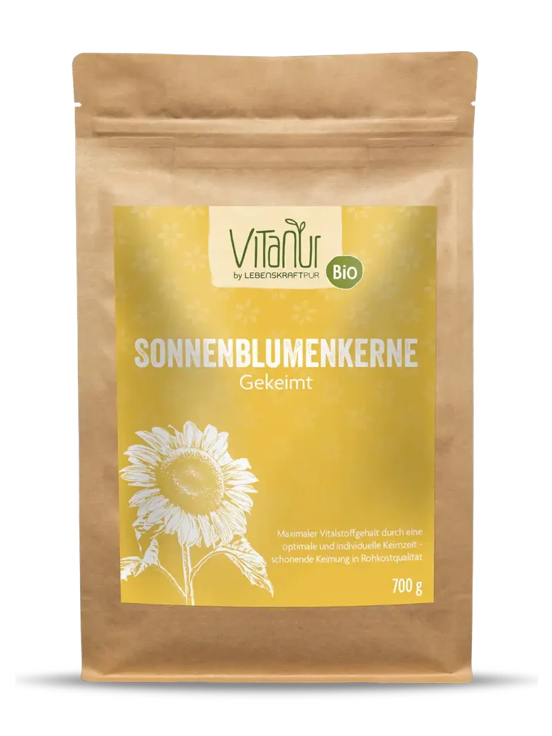 Bio Sonnenblumenkerne Gekeimt