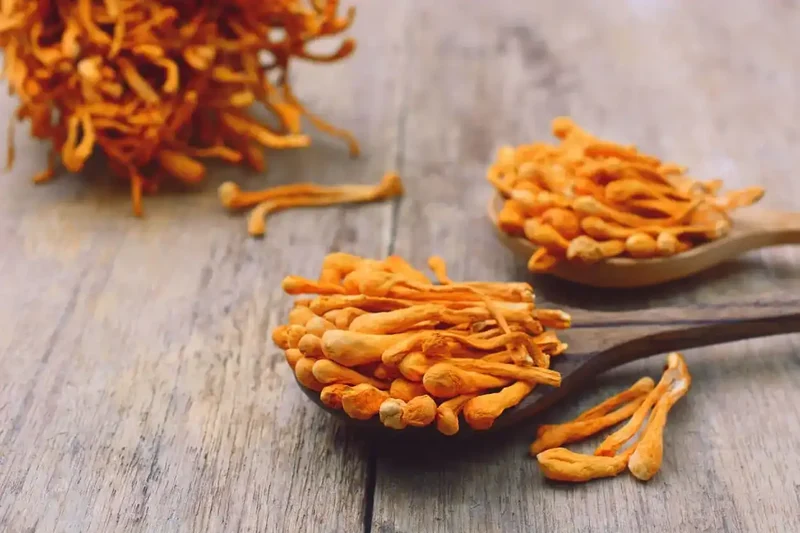 Bio Cordyceps Sinensis Kapseln (Vita)