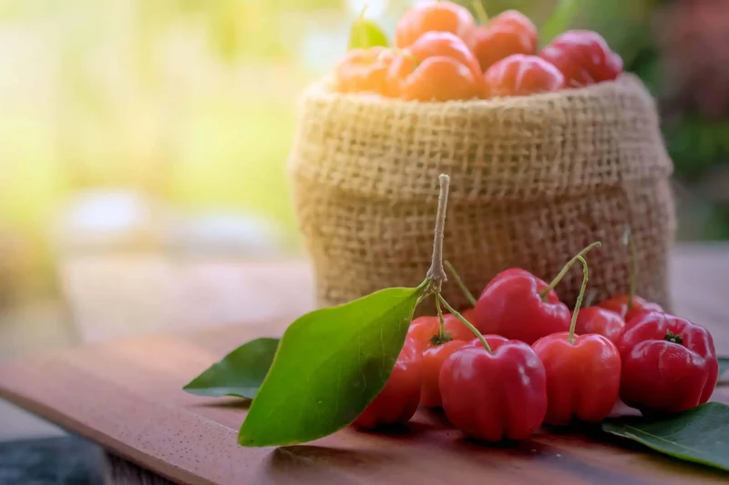 Bio Acerola Pulver (Vitamin-C-Drink)