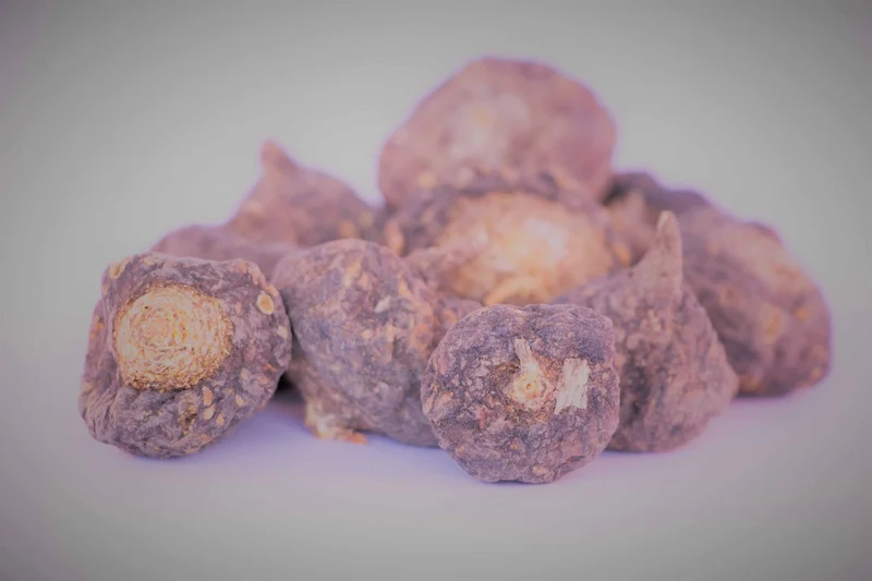 Bio-Maca Rot Kapseln (Vita)