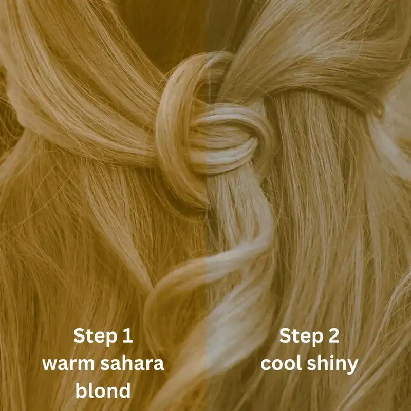 Profi-Pflanzenhaarfarbe kühles Sahara-Blond "cool sahara blond in 2-Steps" 2x 90g Nachfüllpacks