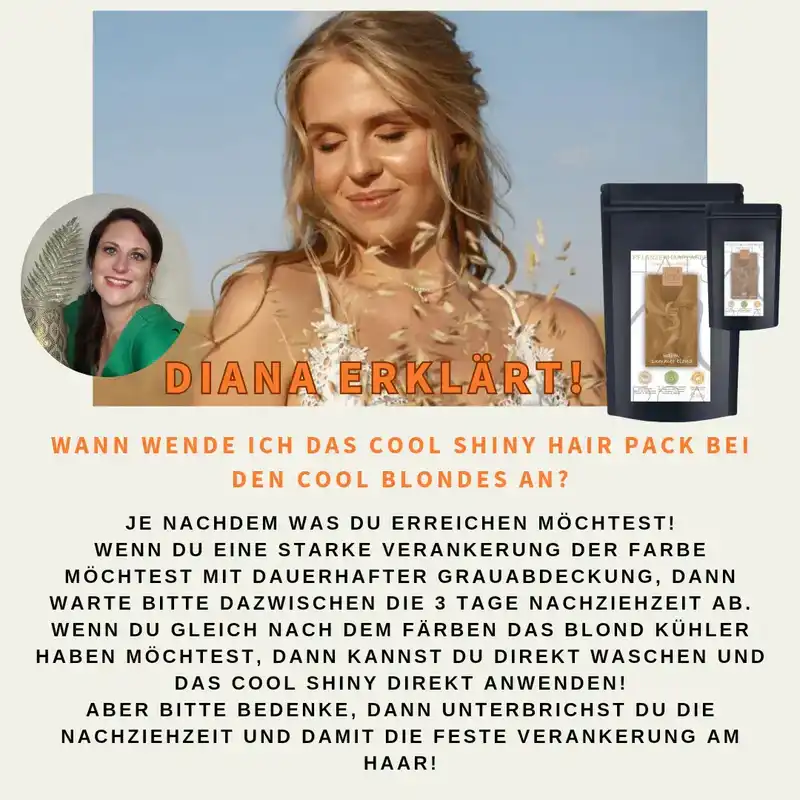 Profi-Pflanzenhaarfarbe kühles Sahara-Blond "cool sahara blond in 2-Steps" 2x 90g Nachfüllpacks