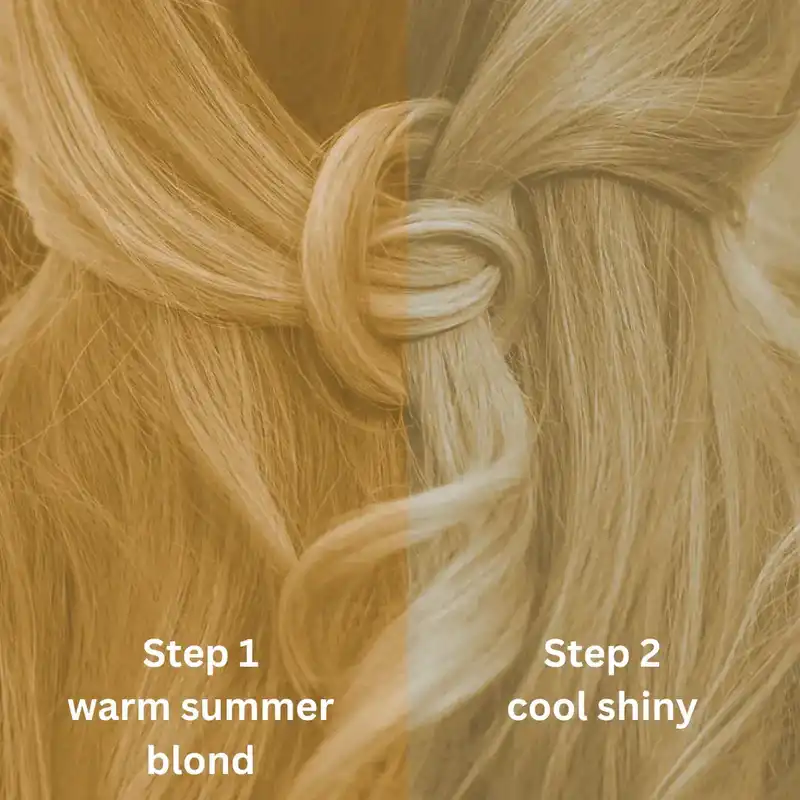 Profi-Pflanzenhaarfarbe kühles Summer-Blond "cool summer blond in 2-Steps" 2x 90g Nachfüllpacks