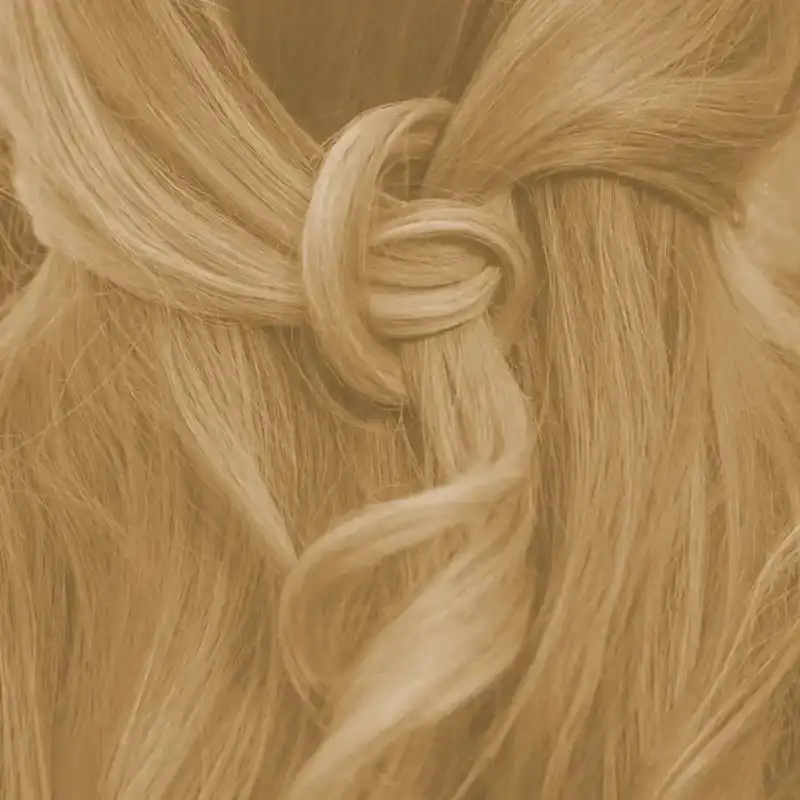 Profi-Pflanzenhaarfarbe warmes Hell-Blond "warm light blond"