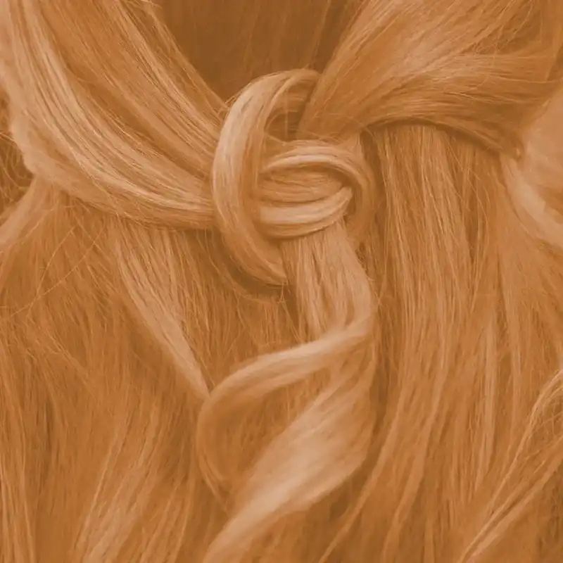 Profi-Pflanzenhaarfarbe "warmes helles Kupfer-Blond - warm tizian blond"