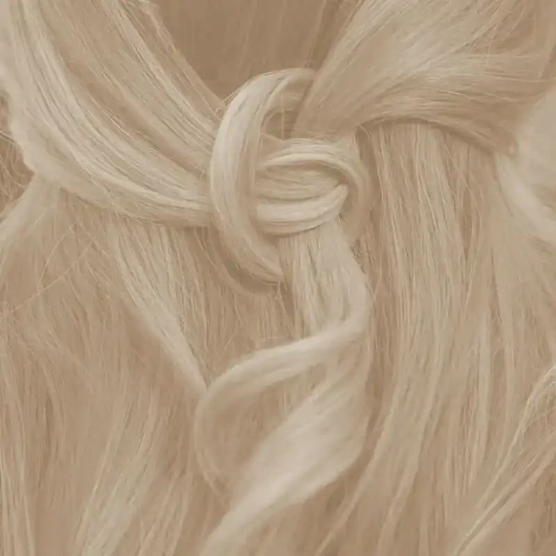 Profi-Pflanzenhaarfarbe SET kühle farblose Volumen-Glanz-Haarpackung "cool shiny hair pack"