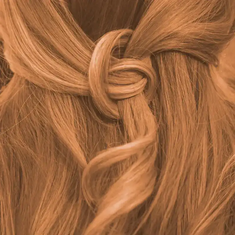 Profi-Pflanzenhaarfarbe warmes Hell-Braun "warm light brown"
