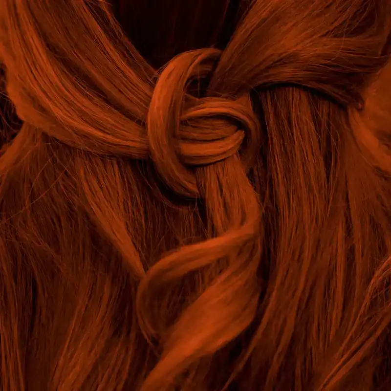 Profi-Pflanzenhaarfarbe "warmes Rubin-Rot - warm rubin red"